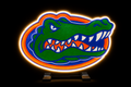 Florida Gators Light box!