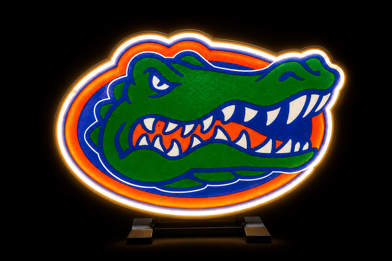 Florida Gators Light box!
