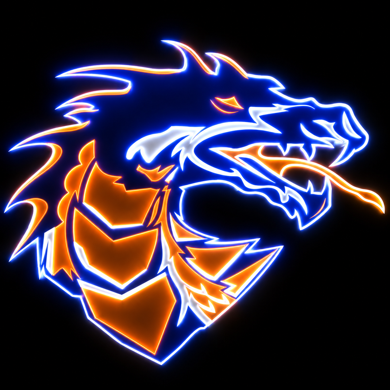 Silver Creek Dragons Lit up box!