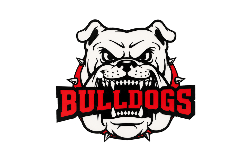 New Albany Bulldogs Light up box!