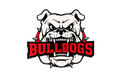 New Albany Bulldogs Light up box!