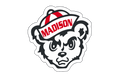 Madison Cubs light up box!