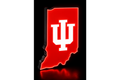 Indiana Hoosiers Light box!